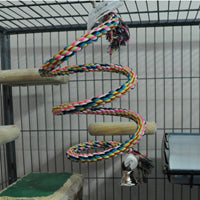 Beaks! Hanging Flexible Rope Boing - 72 inch