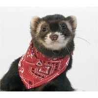 Bandana Red - Marshall Ferret Fashions