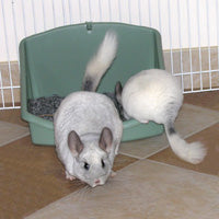 Lock-On Litter Pan - Marshall Pet Products