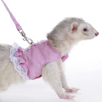 Ferret Fashion Lead - Pink Flowers w Pink Leash - Marshall Pet Products