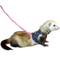 Ferret Fashion Lead - Dark Blue Floral w Pink Leash - Marshall Pet Products