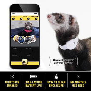 Ferret Finder Collar - White - Marshall Pet Products