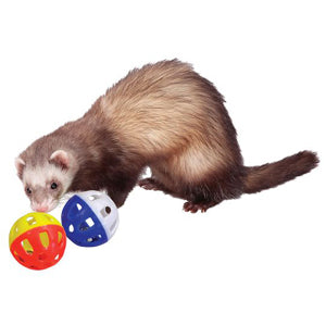 Plastic Bell Toy - 2 Pack - Marshall Pet Product