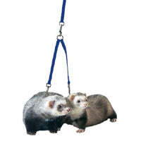 Ferret Tandem Coupler Royal Blue - Marshall Pet Products