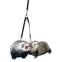 Ferret Tandem Coupler Black - Marshall Pet Products