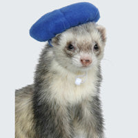 Beret - Assorted Colours - Marshall Ferret Fashions Headwear