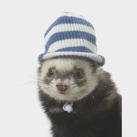 Visor - Marshall Ferret Fashions Headwear