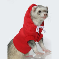 Sweatshirt - Colour Available Red - Marshall Ferret Fashions