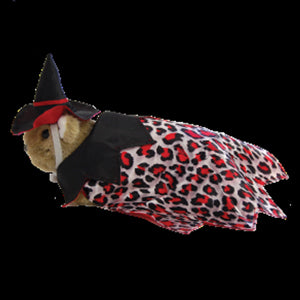 Witch Costume - Marshall Ferret Halloween Fashions