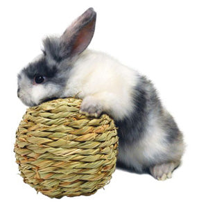 Peters Woven Grass Play Ball