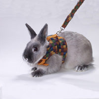 Peters Rabbit Walking Jacket