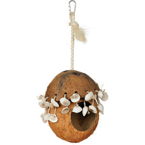 Naturals Coco Hideaway with Shells - Prevue