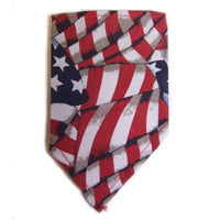 Bandannas American Flag - Marshall Ferret Fashions