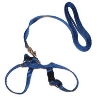 Ferret Harness and Lead Set Royal Blue - Marshall Pet Products