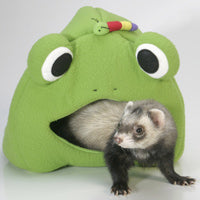 Frog Leisure Lodge - Part of Connect-N-Play Set - Marshall Pet Products
