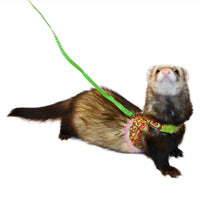 Ferret Fashion Lead - Red-Green Pattern w Green Leash - Marshall Pet Products