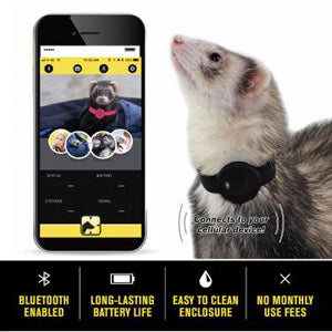 Ferret Finder Collar - Black - Marshall Pet Products