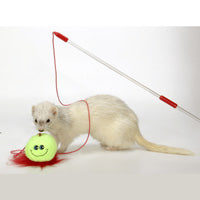 Ferret Teaser Assorted Colours - Marshall Pet Product