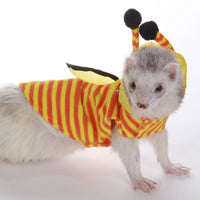 Bee Costume - Marshall Ferret Costume Fashions