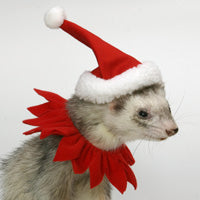 Christmas Santa Hat and Collar - Marshall Ferret Christmas Fashions