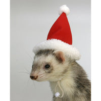 Christmas Santa Hat - Marshall Ferret Christmas Fashions