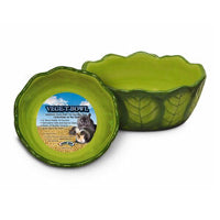 Vege-T-Bowl Cabbage - 16 oz. Ceramic - Kaytee - Super Pet